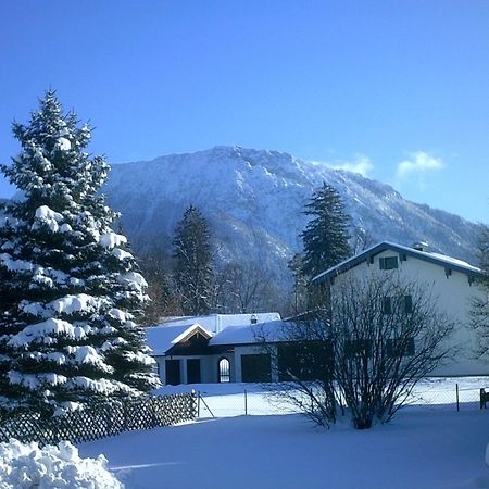 Апартаменты Haus Alpenblick Inkl. Chiemgaukarte Рупольдинг Экстерьер фото