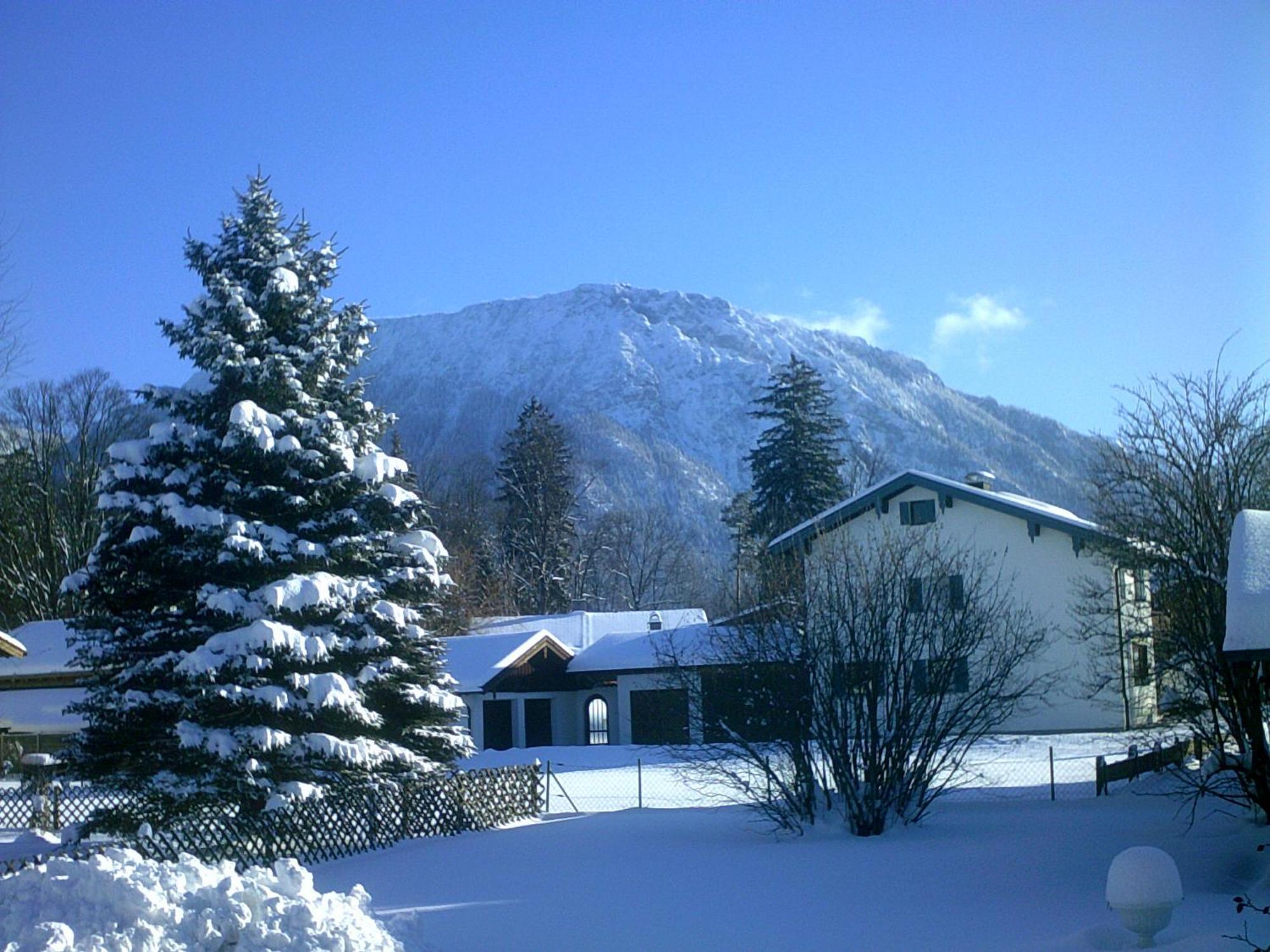 Апартаменты Haus Alpenblick Inkl. Chiemgaukarte Рупольдинг Экстерьер фото